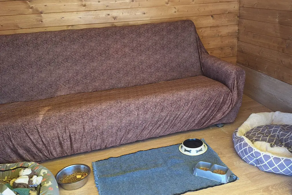 Interior de abrigo para cães com sofá, cama e comedouros